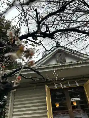 神戸神社（前鳥神社境内社）(神奈川県)