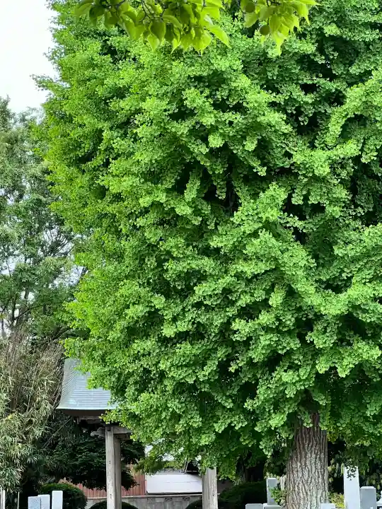 福永寺(茨城県)