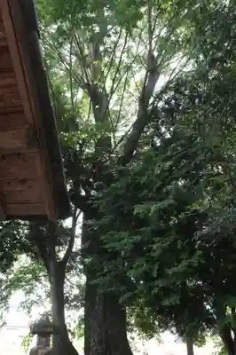 五十鈴神社(滋賀県)