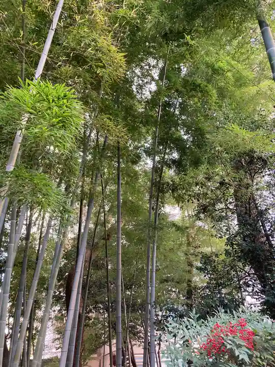 生田神社(兵庫県)