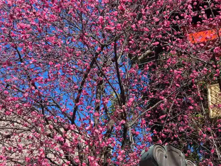 馬橋稲荷神社(東京都)