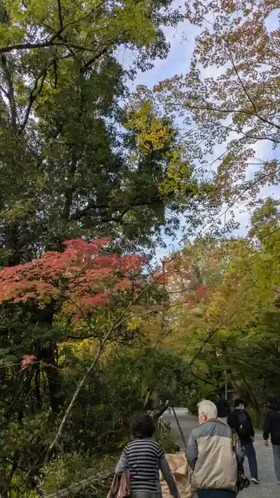 龍安寺(京都府)