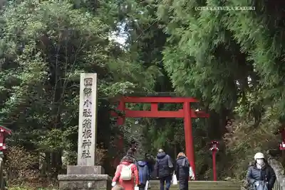 箱根神社(神奈川県)