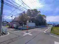 熱田社(稲荷町)の自然