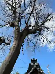 御劔神社(大阪府)