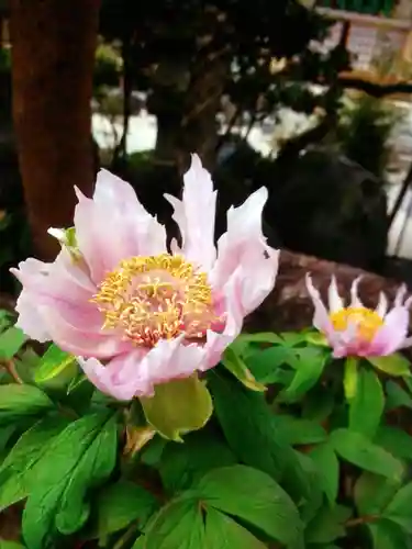 禅定院(東京都)