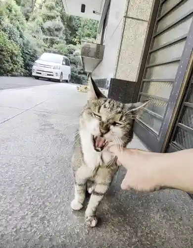 白金氷川神社(東京都)