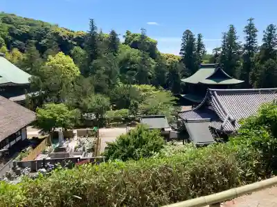龍隠庵の{uncategorized: "未分類", other: "その他", undefined: "問題あり", building: "その他建物", grave: "お墓", sacred_gate: "鳥居", guardian: "狛犬", statue: "像", buddha: "仏像", history: "歴史", nature: "自然", garden: "庭園", animal: "動物", pagoda: "塔", temizu: "手水舎", mountain_gate: "山門・神門", sanctuary: "本殿・本堂", subordinate: "末社・摂社", art: "芸術", scenery: "景色", jizo: "地蔵", ema: "絵馬", goshuin: "御朱印", omikuji: "おみくじ", items: "授与品その他", amulet: "お守り", goshuincho: "御朱印帳", eats: "食事", festival: "お祭り", votive_dance: "神楽", shichigosan: "七五三参", wedding: "結婚式", experience: "体験その他", initially: "初詣", around: "周辺", anti_infection: "感染症対策"}