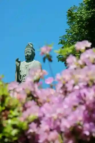 塩船観音寺(東京都)