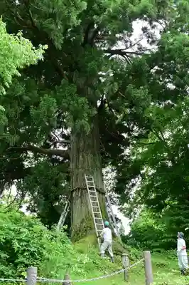 竹之高地不動社(新潟県)