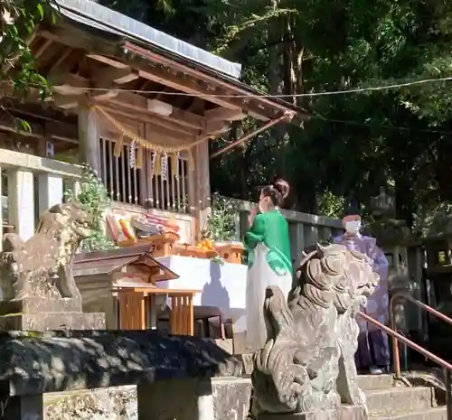 天鷹神社の狛犬