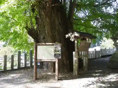 素盞雄神社(奈良県)