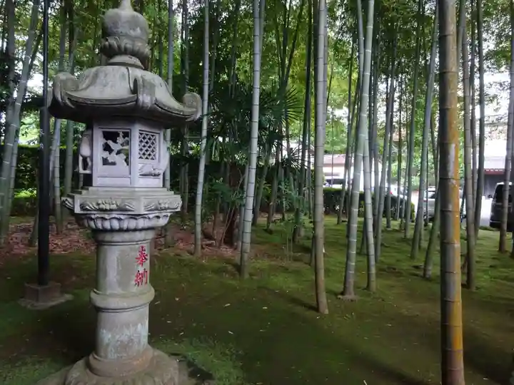天台宗 長窪山 正覚寺の自然