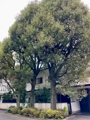 蓮乗寺(東京都)