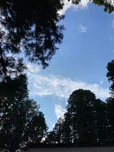 大宮温泉神社の自然