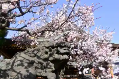 湯島天満宮の狛犬