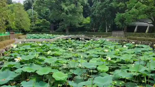 東福禅寺（東福寺）の庭園