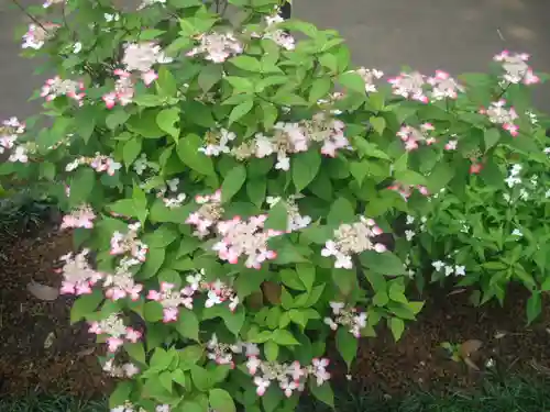 御霊神社の自然