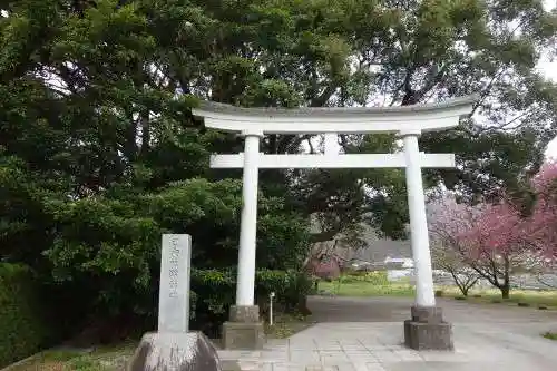 川津来宮神社の鳥居