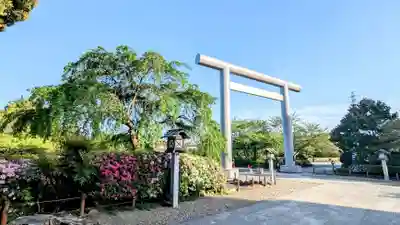 櫻木神社の鳥居