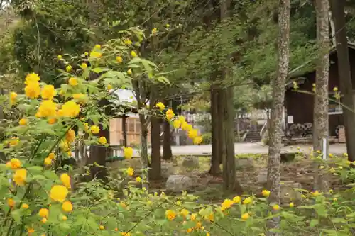 大國主神社の自然