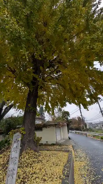 観音寺(山崎聖天)(京都府)