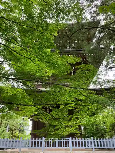 道場寺のその他建物