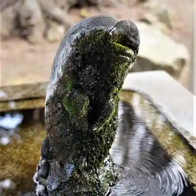 神炊館神社 ⁂奥州須賀川総鎮守⁂の手水舎