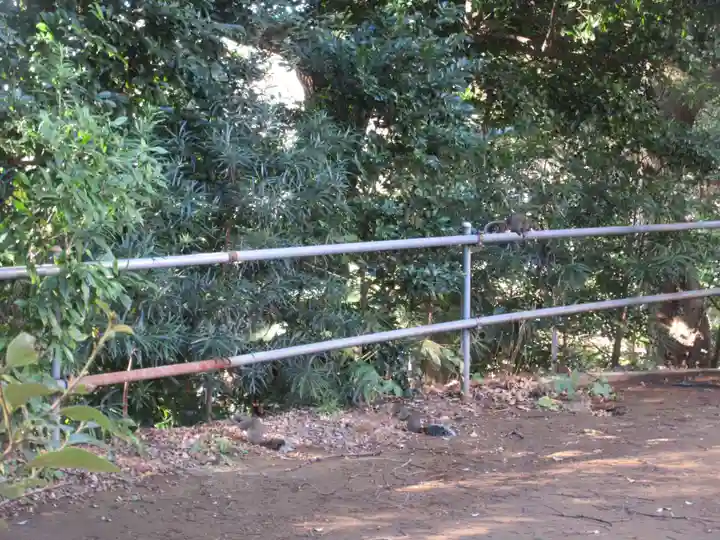 森浅間神社(神奈川県)