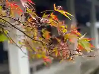 伊勢の国 四天王寺の自然