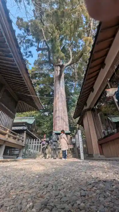 事任八幡宮(静岡県)