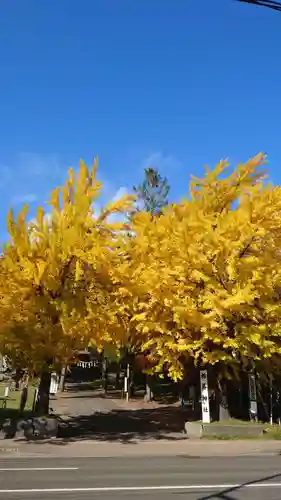 相馬神社(北海道)