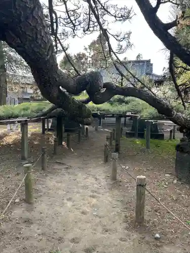 菅原神社(群馬県)
