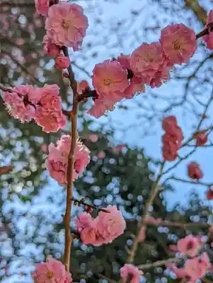 東福禅寺(東福寺)(京都府)