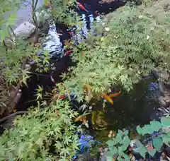 秩父神社(埼玉県)