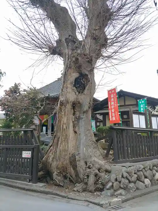 今宮坊(埼玉県)