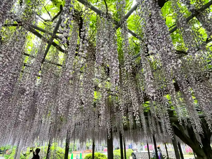 宮目神社(玉敷神社 境内社)(埼玉県)