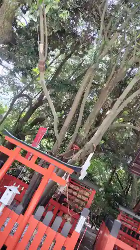 賀茂御祖神社（下鴨神社）(京都府)