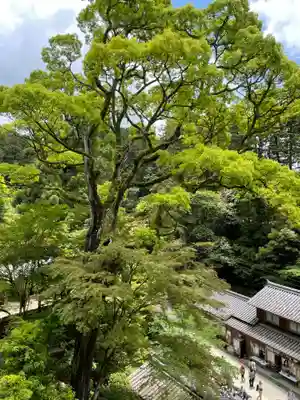 圓教寺(兵庫県)