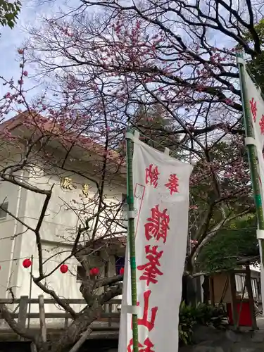 平塚八幡宮(神奈川県)