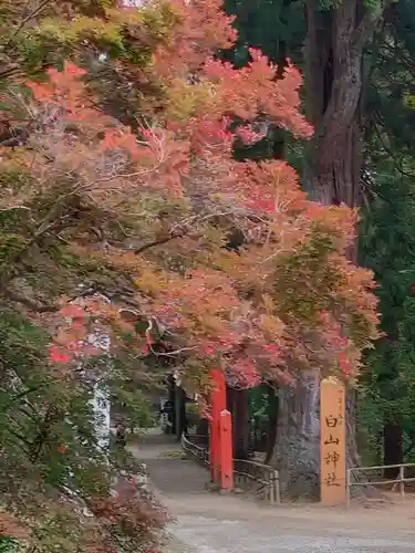 中尊寺(岩手県)
