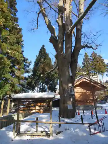 住吉神社の建物その他