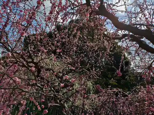 龍尾神社(静岡県)