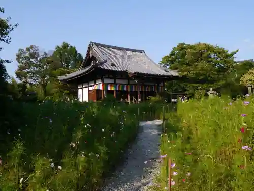 般若寺 ❁﻿コスモス寺❁の末社