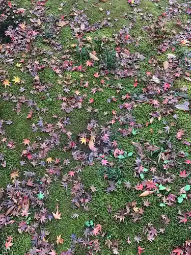 手子后神社(茨城県)