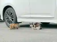 七宮神社の動物