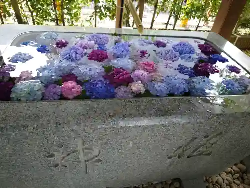 桜神宮(東京都)
