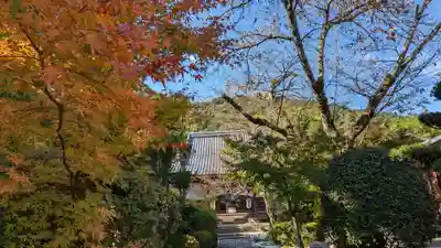 妙祐久遠寺(京都府)