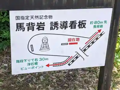 薬師如来像(愛知県)