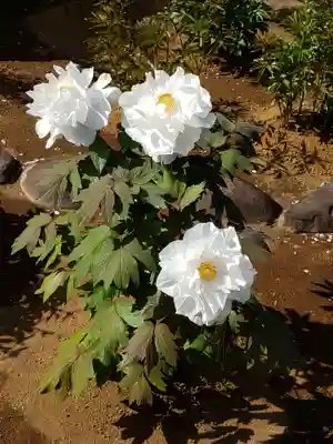 愛染院(東京都)